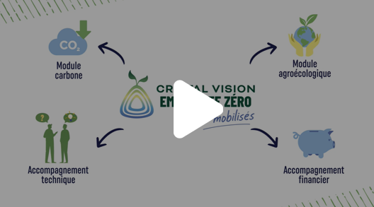 Vidéo Cristal Union