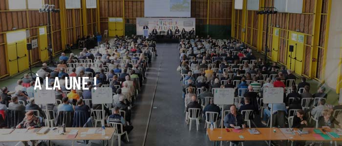 Cristal Union Newsletter